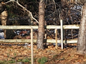 05_12_10_Bird and Markers.JPG